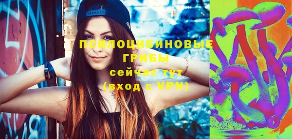 apvp Краснотурьинск