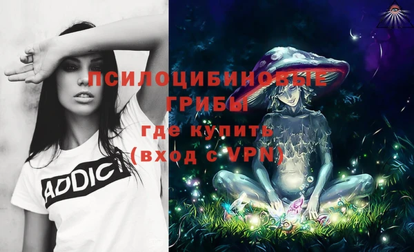 спиды Краснослободск