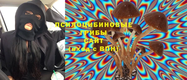 спиды Краснослободск
