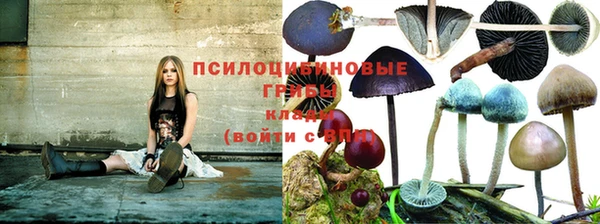 apvp Краснотурьинск