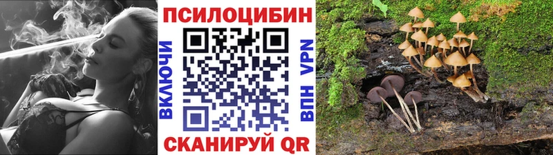 Галлюциногенные грибы прущие грибы  Купить  Зеленокумск 